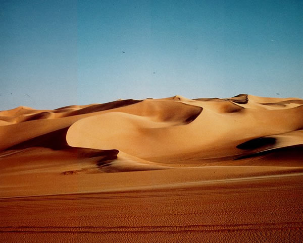 The Sahara Desert